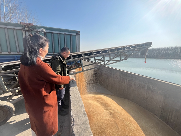 “黨建領(lǐng)航，守護糧安”淮糧集團開展特色品牌黨建活動